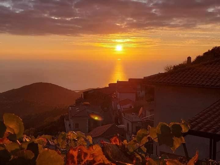 Aparthotel Carmineholidayhouse Pollica